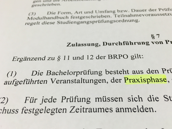 Auszug aus der Studien-Verordnung